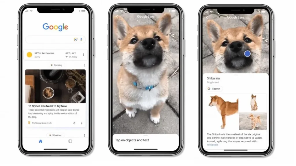 استفاده از برنامه Google برای تجربه گوگل لنز در آیفون